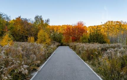Lukratívne pozemky na predaj v atraktívnej lokalite Bankov – ideálne pre individuálnu rekreáciu a celoročné bývanie