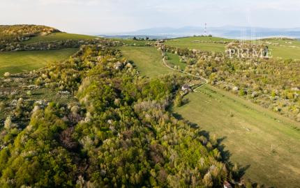 Na predaj rekreačný / investičný pozemok, Kavečany – 4 837 m²