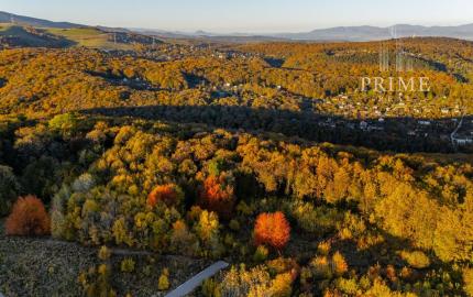 Lukratívne pozemky na predaj v atraktívnej lokalite Bankov – ideálne pre individuálnu rekreáciu a celoročné bývanie