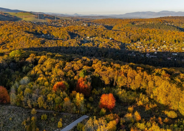 Lukratívne pozemky na predaj v atraktívnej lokalite Bankov – ideálne pre individuálnu rekreáciu a celoročné bývanie