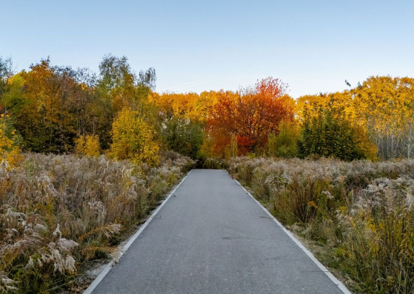 Lukratívne pozemky na predaj v atraktívnej lokalite Bankov – ideálne pre individuálnu rekreáciu a celoročné bývanie