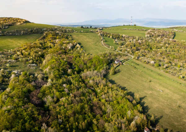 Na predaj rekreačný / investičný pozemok, Kavečany – 4 837 m²