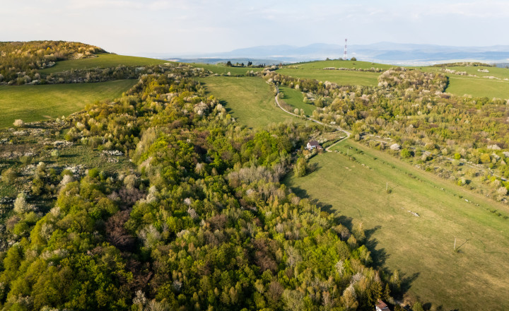 Na predaj rekreačný / investičný pozemok, Kavečany – 4 837 m² - fotografia 5