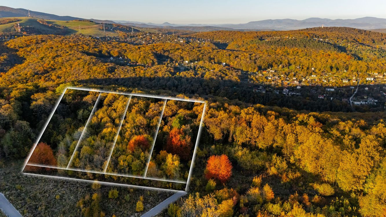 Lukratívne pozemky na predaj v atraktívnej lokalite Bankov – ideálne pre individuálnu rekreáciu a celoročné bývanie